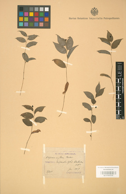 LE 01001519
