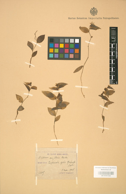 LE 01001520