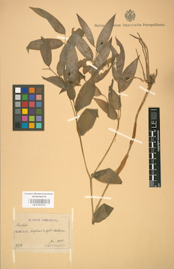 LE 01001521