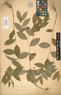 LE 01001522