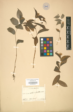 LE 01001523