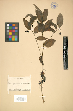 LE 01001525