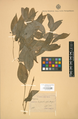 LE 01001527