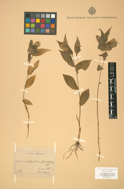 LE 01001531