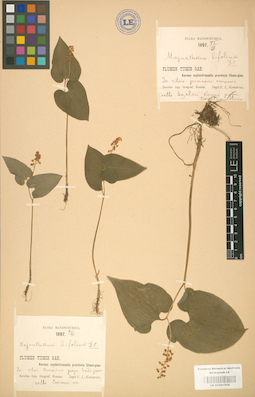 LE 01001532