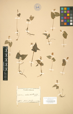 LE 01001533