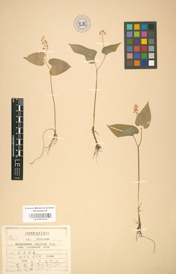 LE 01001534