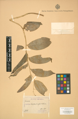 LE 01001535
