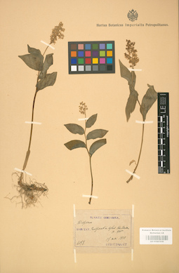 LE 01001536
