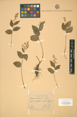 LE 01001537