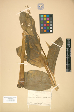LE 01001543