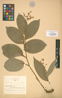 LE 01001544