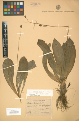 LE 01001545