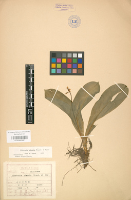 LE 01001547