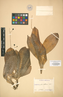 LE 01001548