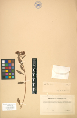 LE 01001630