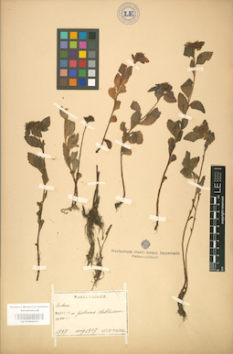LE 01001633