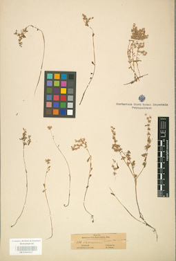 LE 01001637