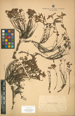 LE 01001638