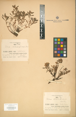 LE 01001639