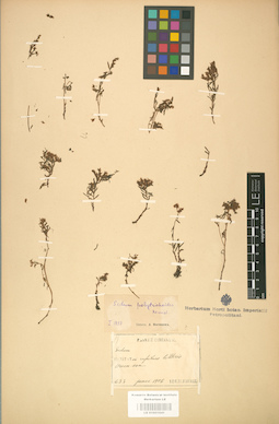 LE 01001641