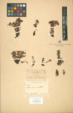 LE 01001642