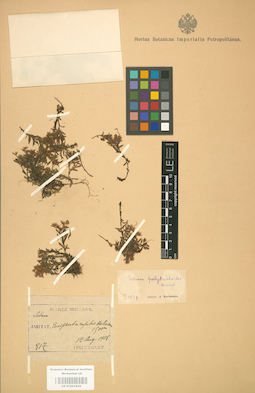 LE 01001644