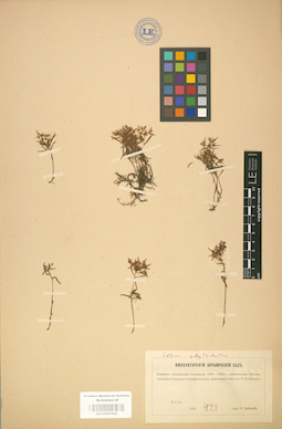 LE 01001645