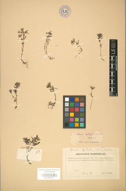 LE 01001647