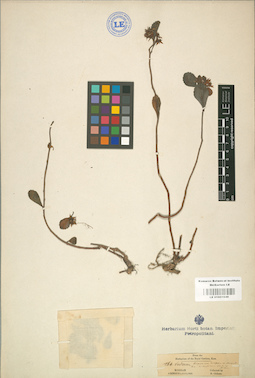 LE 01001649