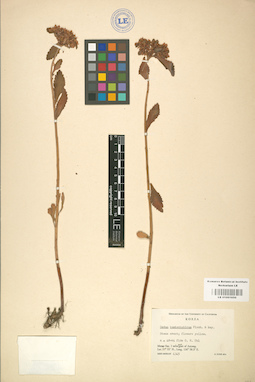 LE 01001650