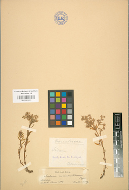 LE 01001651