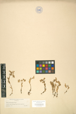 LE 01001652