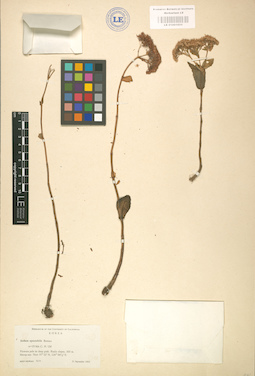 LE 01001655