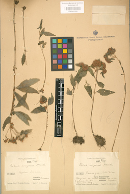 LE 01001656