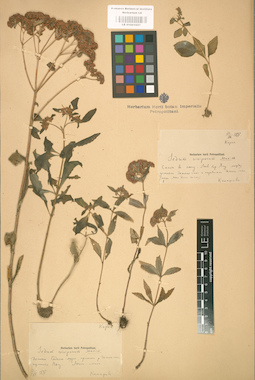 LE 01001657