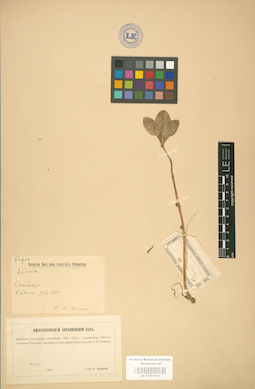 LE 01001658