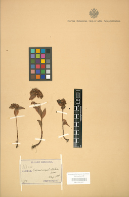 LE 01001661