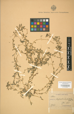 LE 01001662