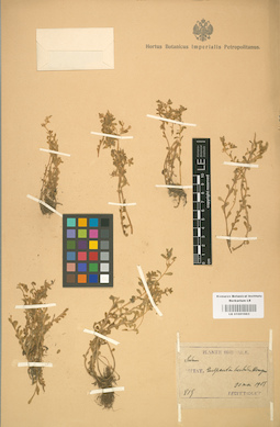 LE 01001663