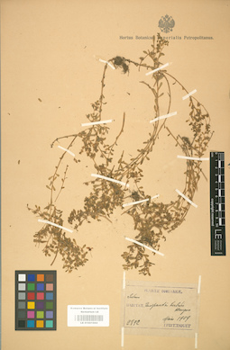LE 01001664