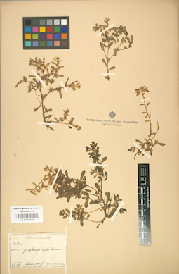 LE 01001665