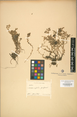 LE 01001666