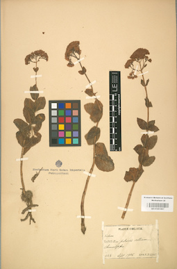 LE 01001667
