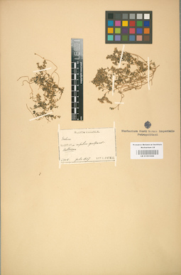 LE 01001668
