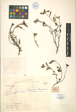 LE 01001669