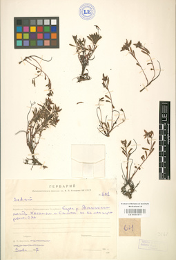 LE 01001670