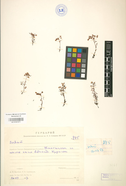 LE 01001671