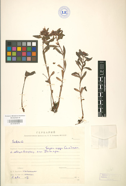 LE 01001672