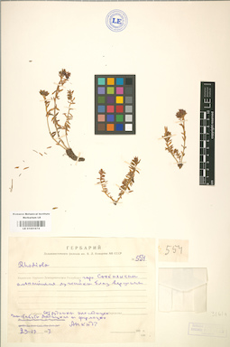LE 01001674